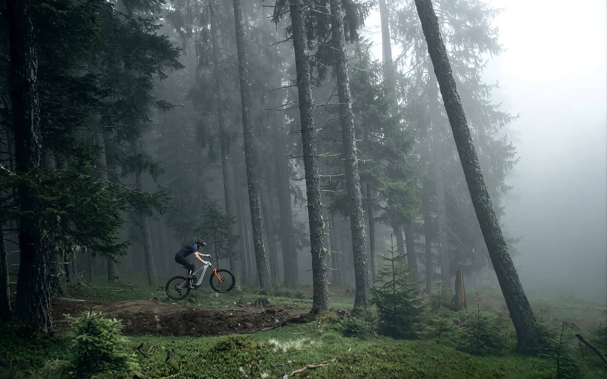 Ciclista in mountain bike in volo su un sentiero, in un bosco avvolto dalla nebbia
